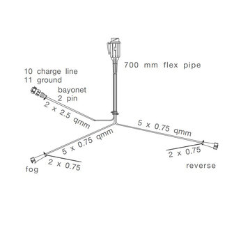 Asp&ouml;ck Kabelbaum 13-Poliger Stecker 8m + 2x abzweig DC 10cm